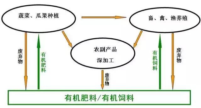 乡村振兴战略五年规划重点项目,乡村振兴计划重点项目