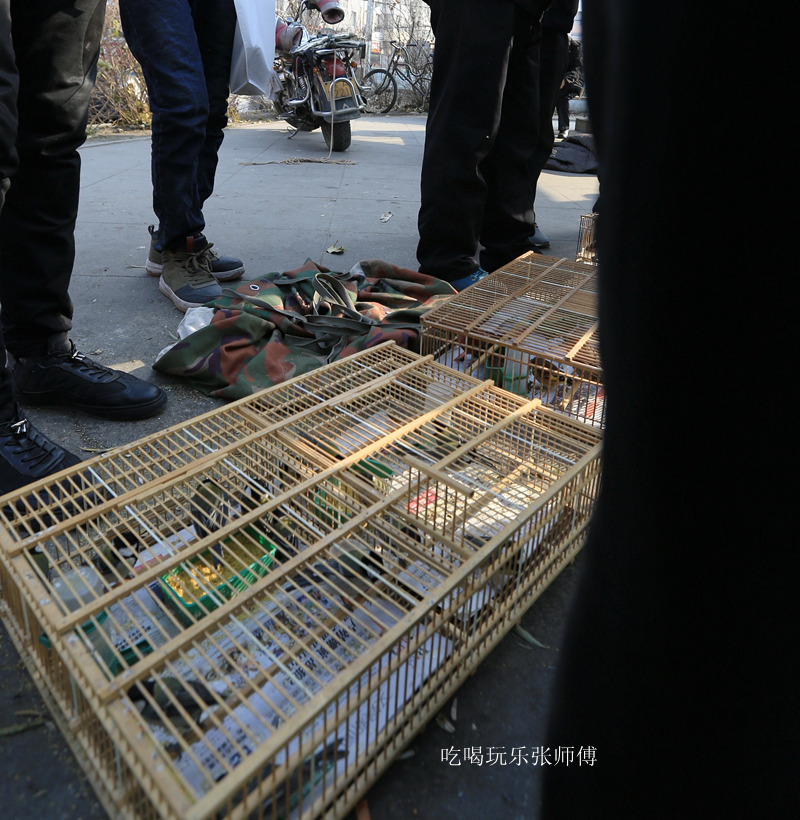 哈尔滨市畜牧交易市场,哈尔滨动物市场