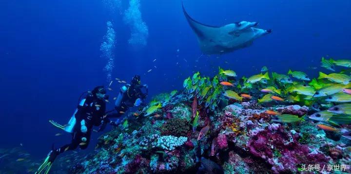 马尔代夫选岛一价全包,马尔代夫维拉私人岛一价全包