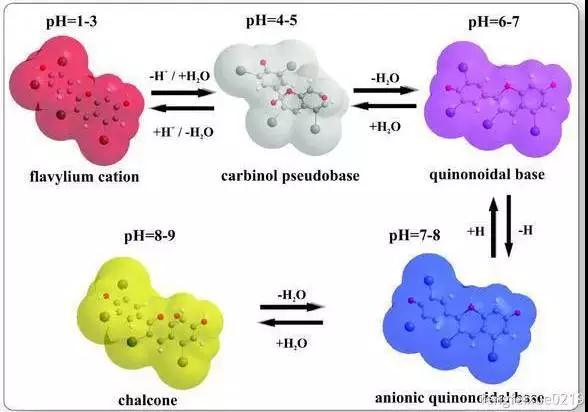 这才是金刚菩提最顶级的玩法,金刚菩提怎么盘玩效率最高