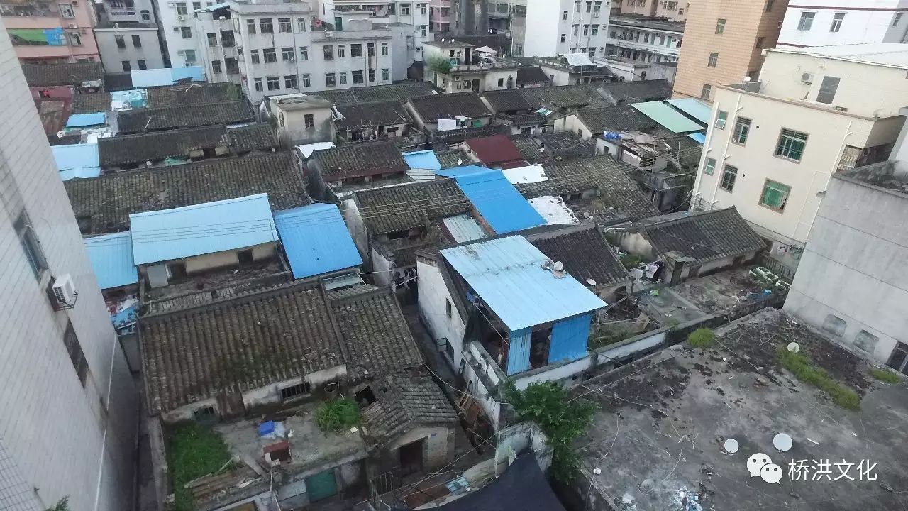 四百年前绿竹变丹竹——丹竹头