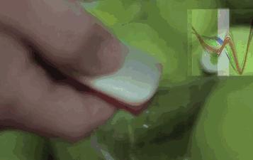 食物热量表减肥必备表,食物热量表减肥必备