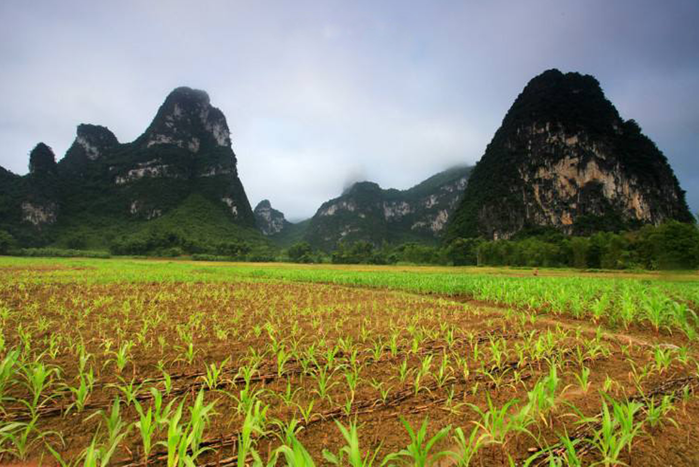 你的一生究竟在忙什么,我们的一生如此短暂