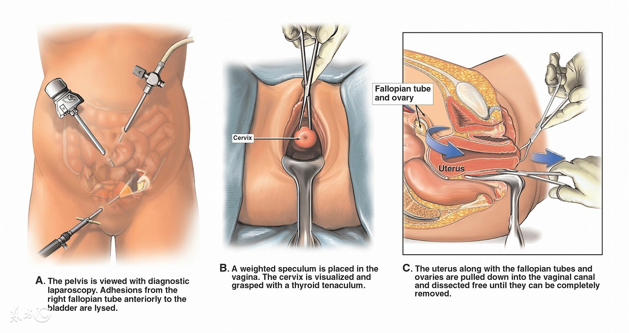 怀孕容易还是困难是谁决定的,为什么别人怀孕那么容易自己好难