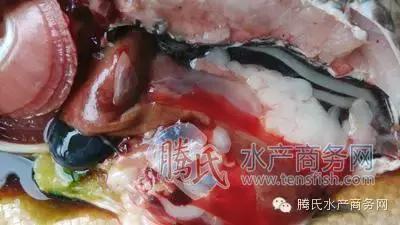 齐同俊医生年度总结,渔医齐同俊简介