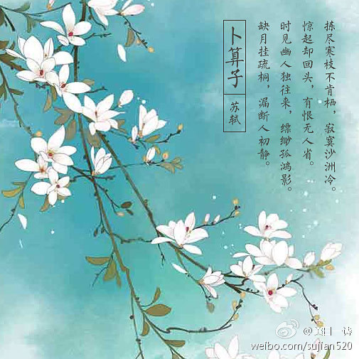 苏轼旷达洒脱的词,苏轼脱俗的诗词