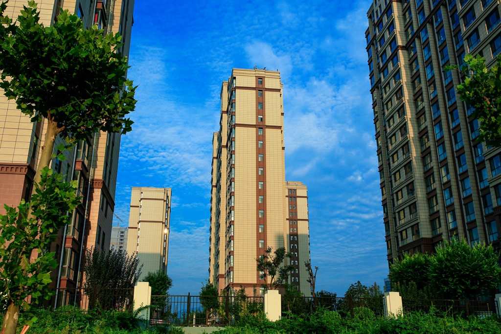 寮犺穬闈欑墿鎽勫奖,寮犺穬鐓х墖