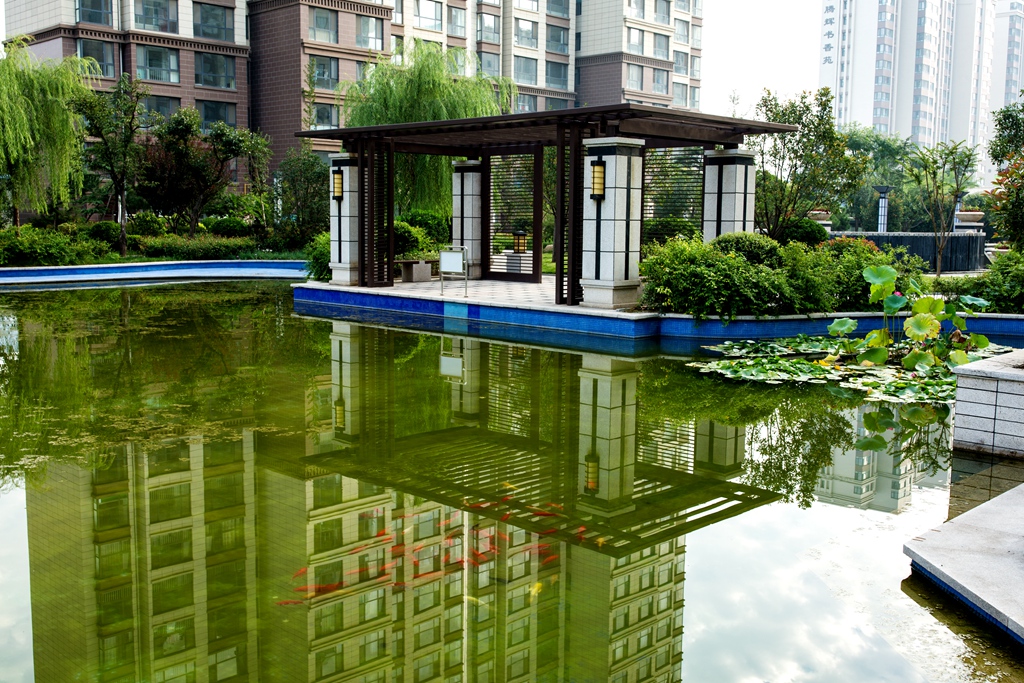 寮犺穬闈欑墿鎽勫奖,寮犺穬鐓х墖