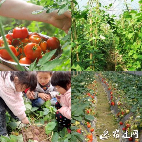 砥砺奋进的五年2020年,砥砺奋进的五年钦州