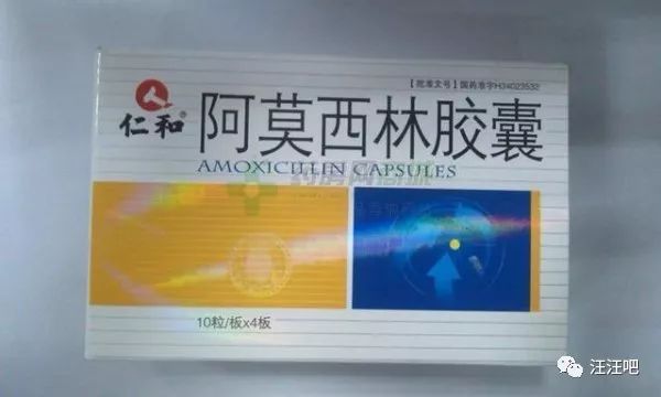 养狗不生病小技巧主人们都要知道,养狗铲屎官必知道的小知识