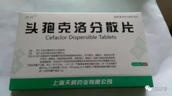 养狗不生病小技巧主人们都要知道,养狗铲屎官必知道的小知识