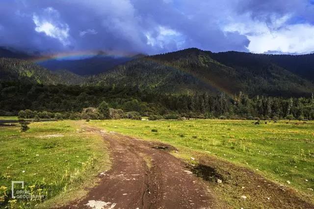 林芝为什么那么魅力,林芝深度游最佳路线