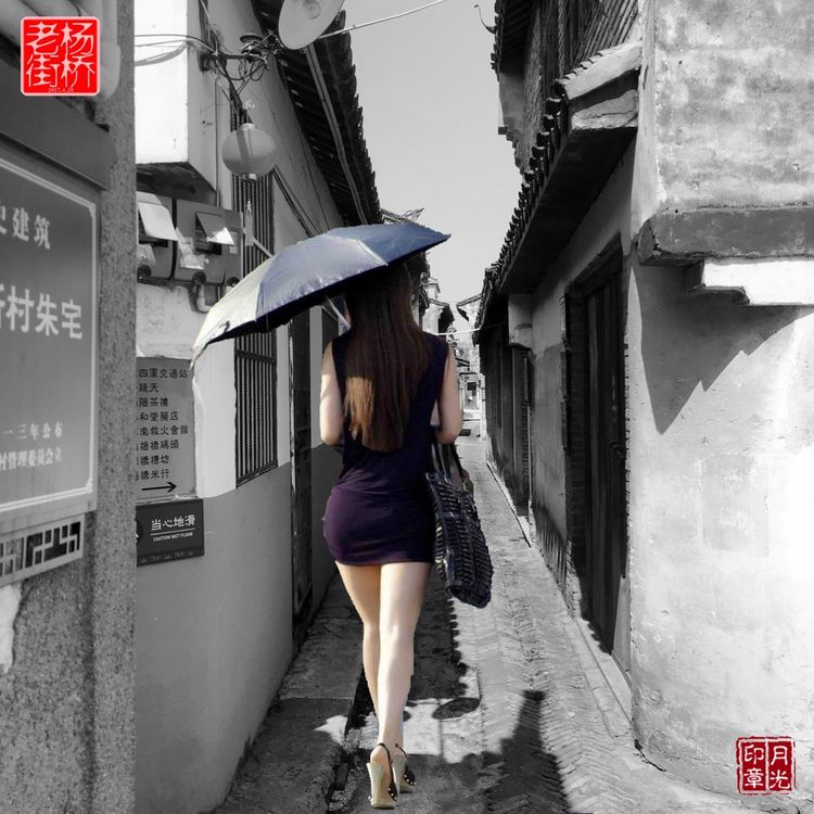 秀丽的江南水乡,这里是一座美丽幽静的江南古镇