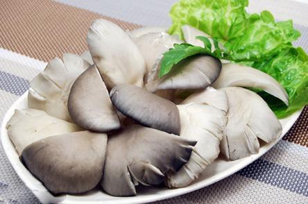 高血压高血脂的人能吃菌菇吗,高血压吃菌