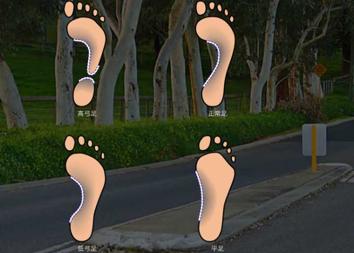 怎么挑选适合自己跑步的跑鞋呢,四大跑鞋品牌哪个跑步最舒服