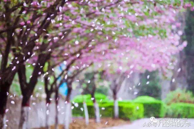 西安电子科技大学90周年校庆标识,科技大学校庆标志