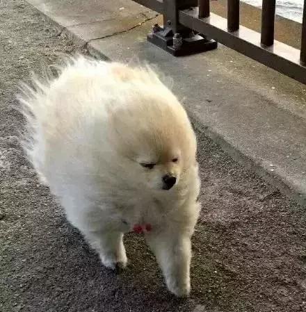 冷冷冷下周气温再次跌破零度,冷冷冷大风降温