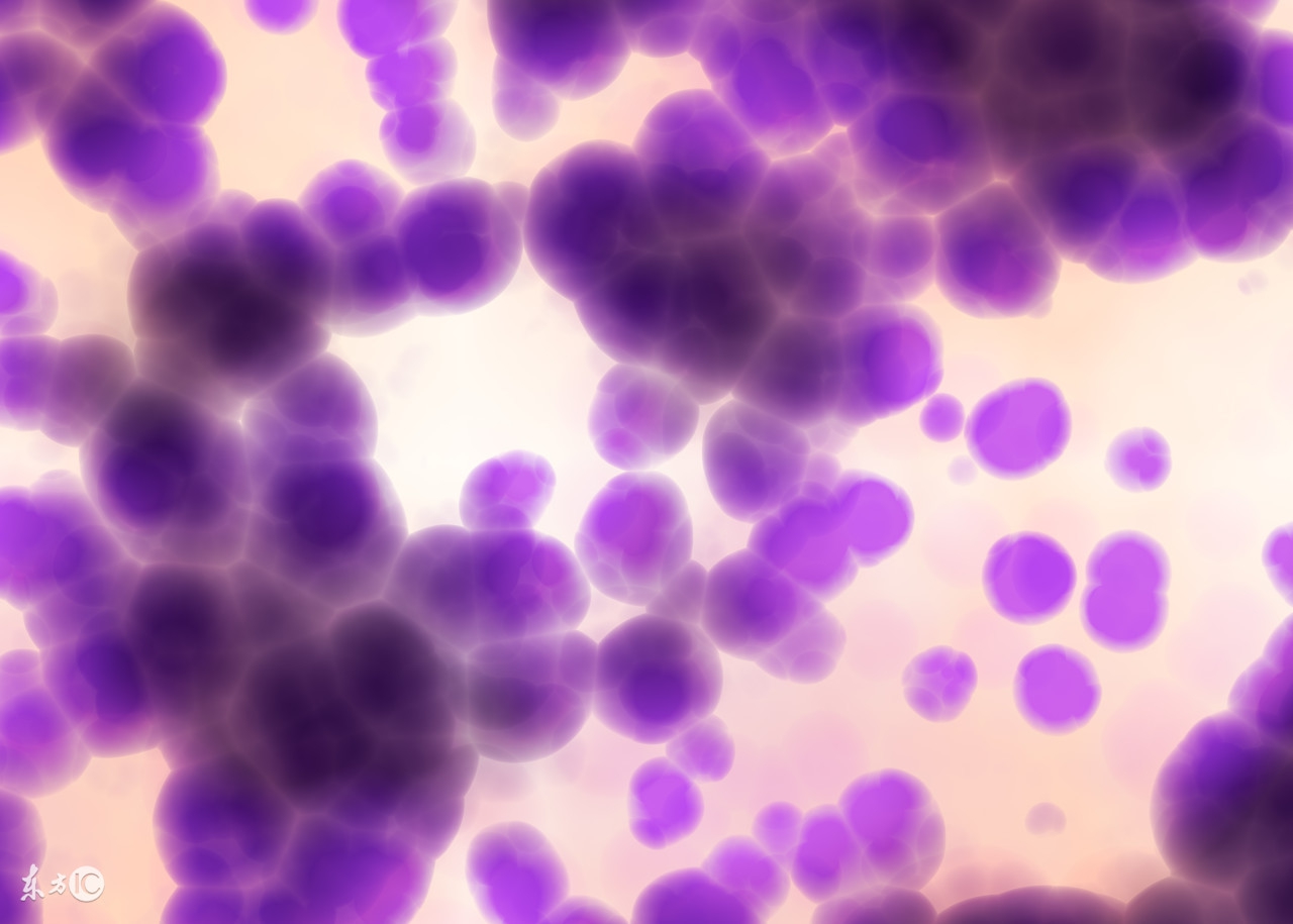 怀孕容易还是困难是谁决定的,为什么别人怀孕那么容易自己好难