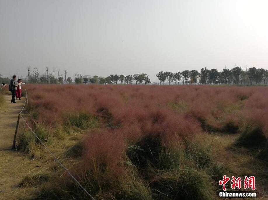 焦作失踪14岁女童已找到尸体,河南焦作俩小孩失踪