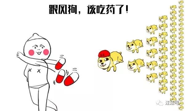 养狗不生病小技巧主人们都要知道,养狗铲屎官必知道的小知识