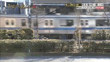 一分钱不花,也能活得如此精彩!看这个日本大叔骑车可以看一天!