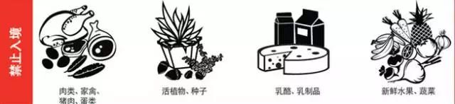 入境澳大利亚海关罚款不交会怎样,澳大利亚入境禁止携带物品视频