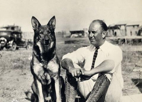 世界上最好的几只狗狗,世界上最强大的十条狗狗