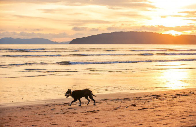 泰国甲米9天自由行 (泰国甲米半岛海上一日游)