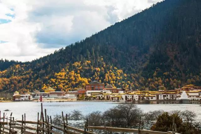 林芝为什么那么魅力,林芝深度游最佳路线