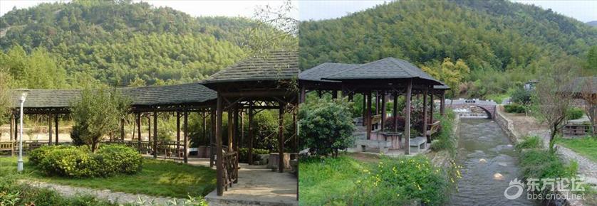 宁波哪里风景好又能免费烧烤,宁波适合烧烤的海边