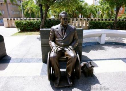 世界上最好的几只狗狗,世界上最强大的十条狗狗