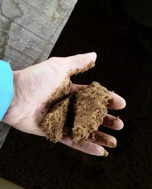 乌龟下蛋时要用什么东西帮它孵化,乌龟孵化过程中为什么出现变异