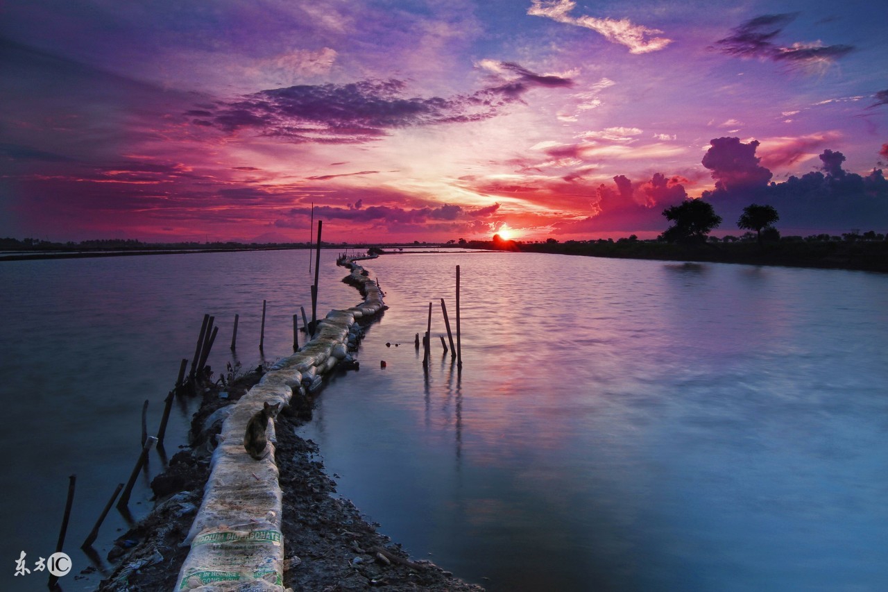 狗年10月出生运势好吗,易经狗年出生运势