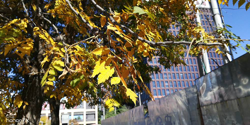 全面屏荣耀畅玩7x有几种颜色,千元旗舰手机荣耀畅玩7x