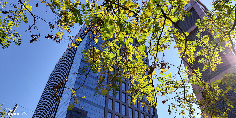 全面屏荣耀畅玩7x有几种颜色,千元旗舰手机荣耀畅玩7x