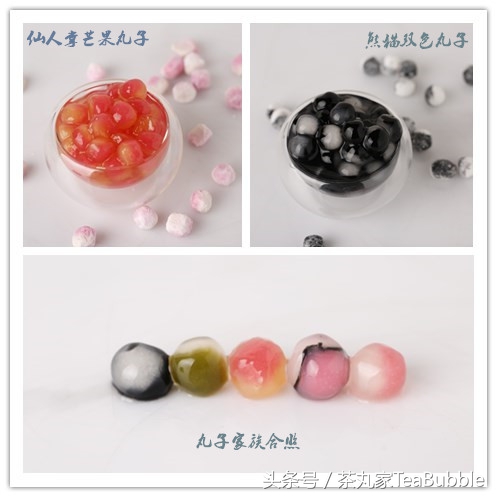 深度解析茶丸家,茶丸家到底怎么样