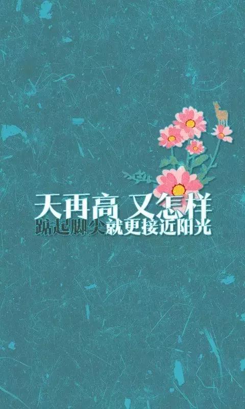 唯美励志正能量文案短句,励志正能量励志语录简短