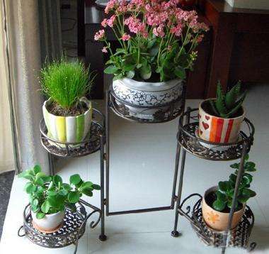 住坐南朝北的房子怎么样,坐北朝南房子有什么好处