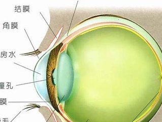 青光眼用药有讲究,青光眼用药禁忌ppt