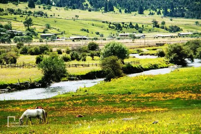 林芝为什么那么魅力,林芝深度游最佳路线