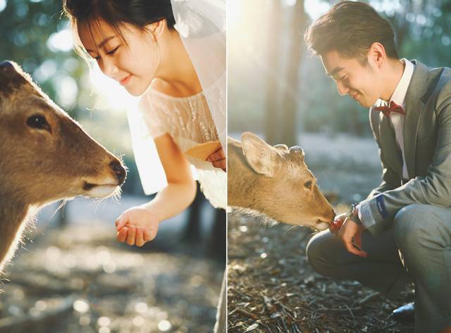如何拍出像明星的照片,怎么样才可以拍出有气质的婚纱照
