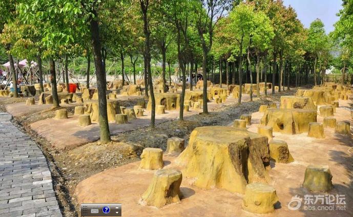 宁波哪里风景好又能免费烧烤,宁波适合烧烤的海边