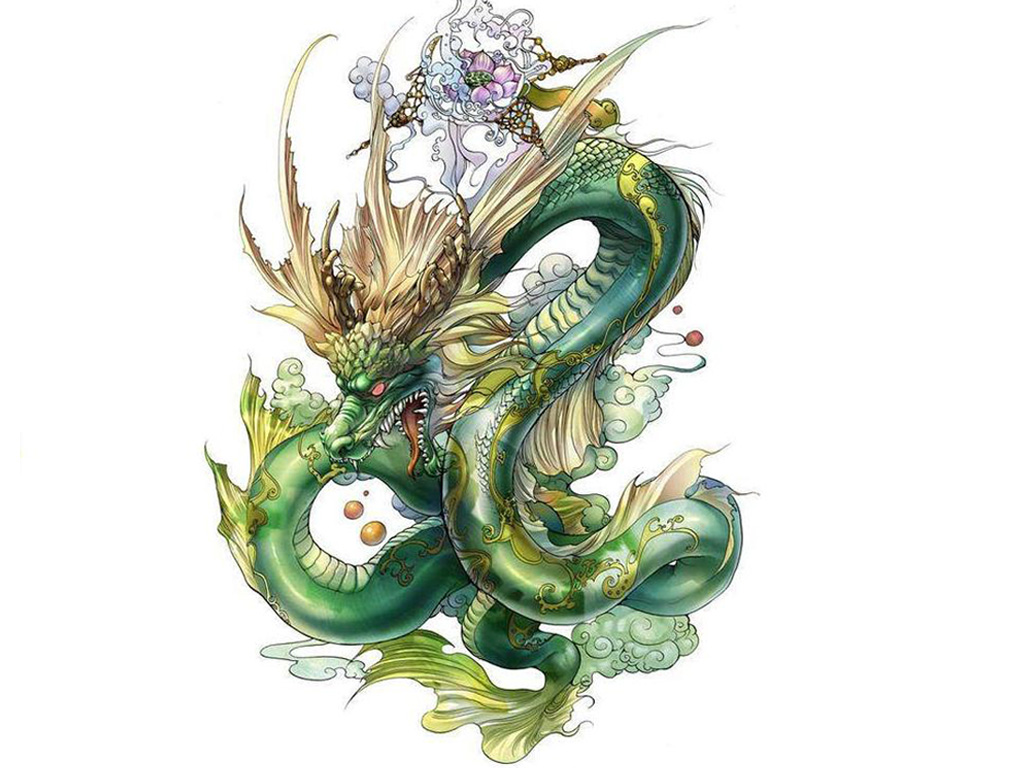 十二生肖各缺一个器官图解,十二生肖各缺一样东西