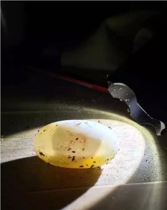 乌龟下蛋时要用什么东西帮它孵化,乌龟孵化过程中为什么出现变异