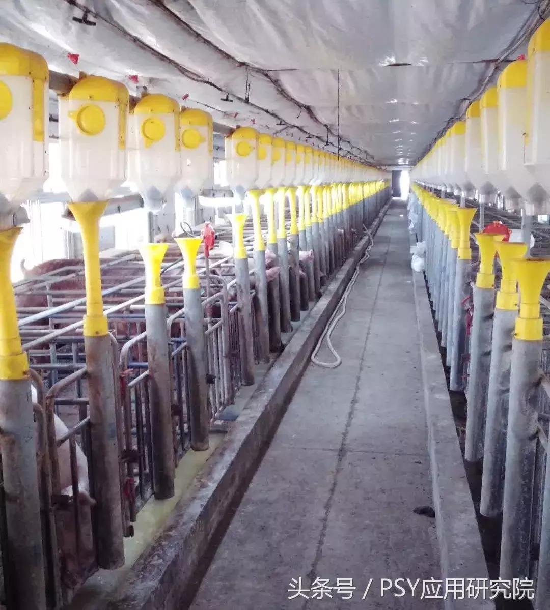 延长光照时间可以提高光照强度吗,延长光照能提高农作物产量吗