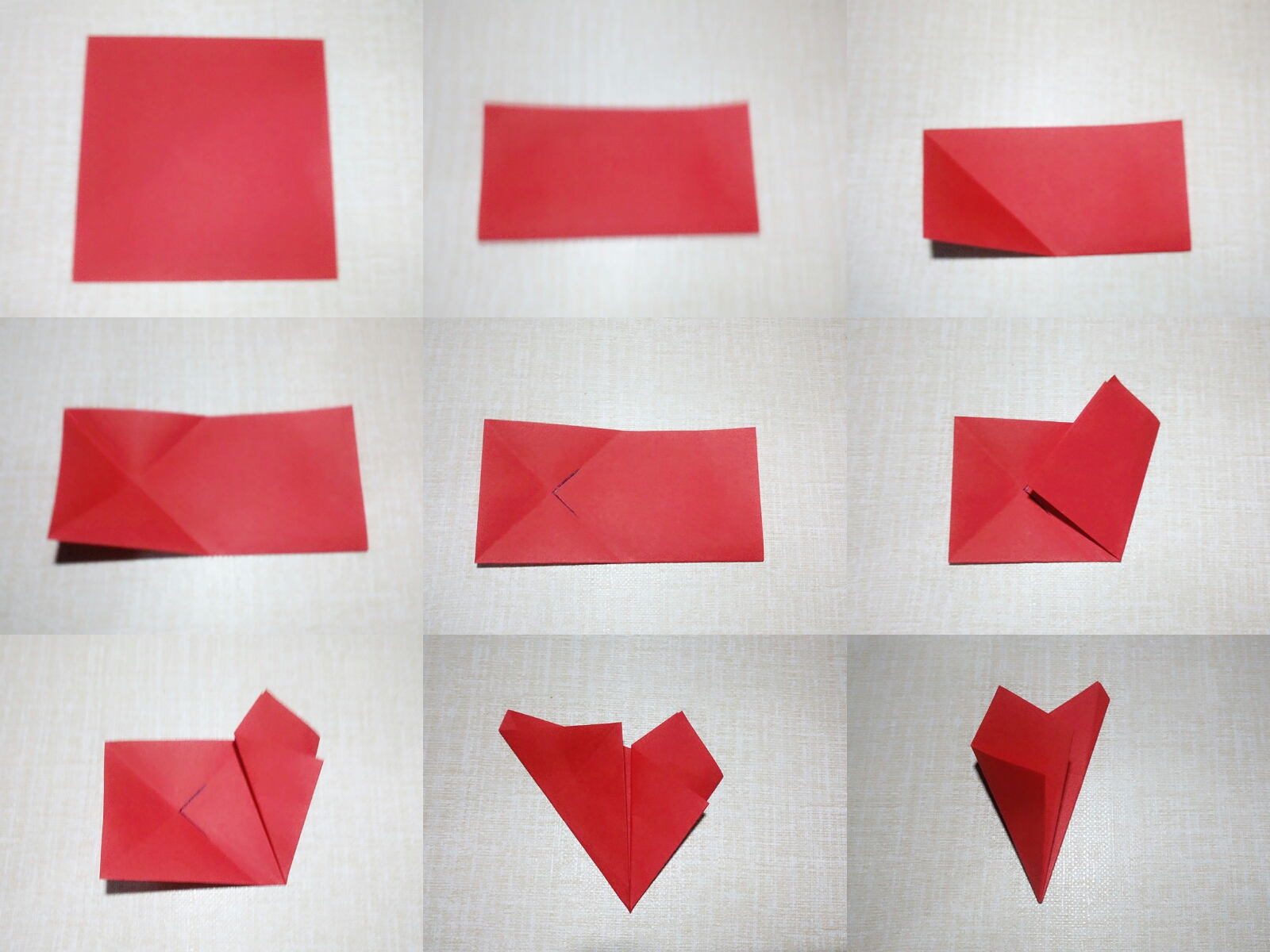 立体花朵折纸教程康乃馨,花朵折纸教程