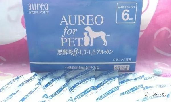 养狗不生病小技巧主人们都要知道,养狗铲屎官必知道的小知识