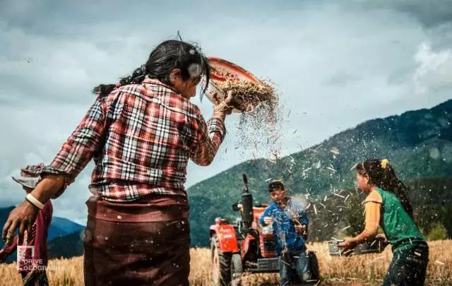 林芝为什么那么魅力,林芝深度游最佳路线