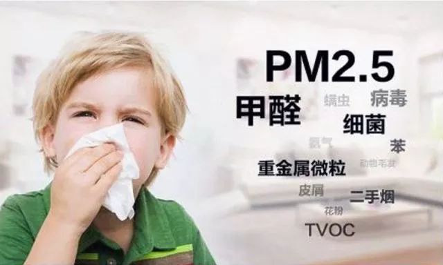 碳包放了一个月，到底把甲醛吸干净没？