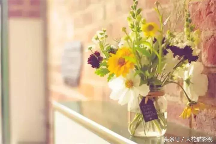 心若安暖万事从容,心若平静万事皆空